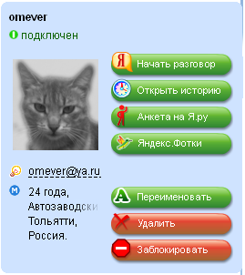 Online.yandex.ru-screenshot-personaldata.PNG